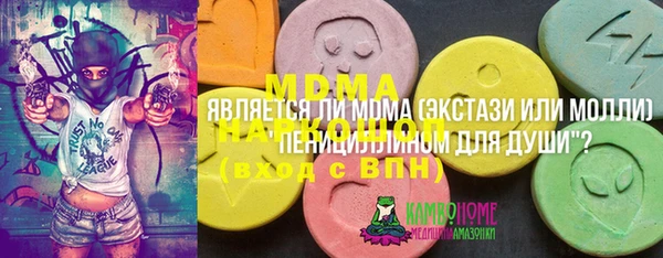 хмурый Алзамай