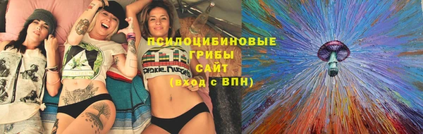 хмурый Алзамай