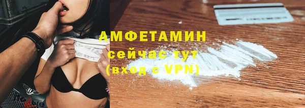 хмурый Алзамай